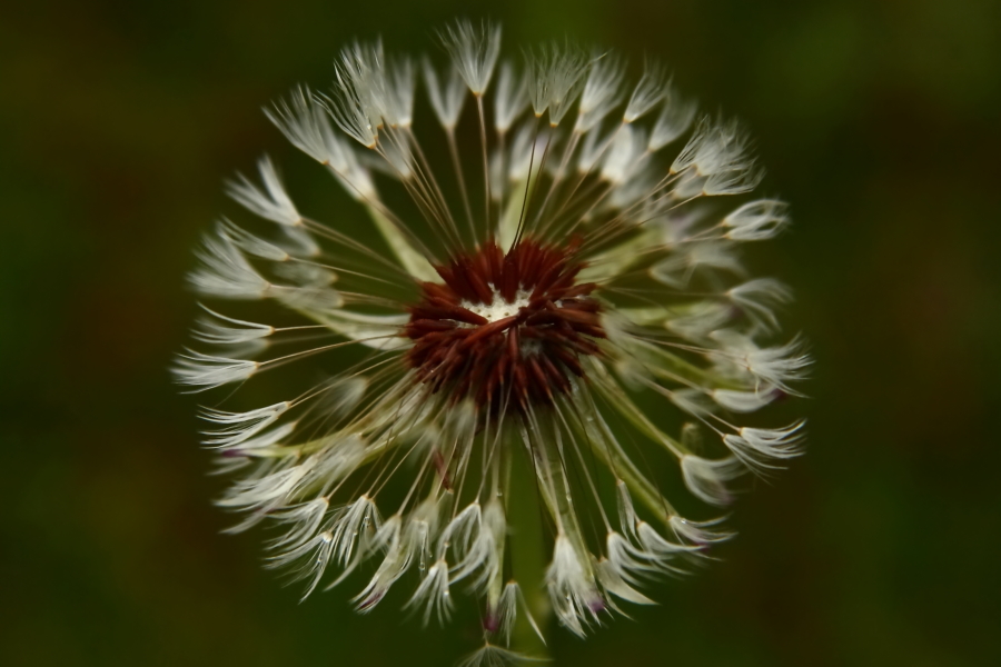 2013 05 09 IMG 05664e